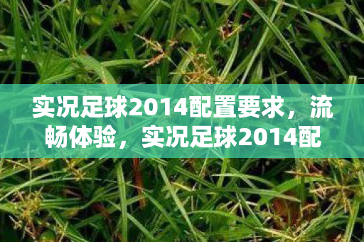 实况足球2014配置要求,流畅体验,实况足球2014配置需求解析 实况足球2014配置要求,流畅体验,实况足球2014配置需求解析