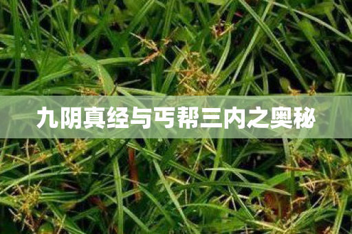 九阴真经与丐帮三内之奥秘