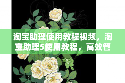 淘宝助理使用教程视频,淘宝助理5使用教程,高效管理淘宝店铺的必备工具 淘宝助理使用教程视频,淘宝助理5使用教程,高效管理淘宝店铺的必备工具