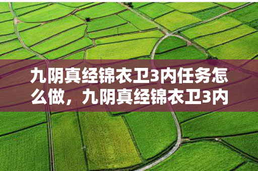 九阴真经锦衣卫3内任务怎么做，九阴真经锦衣卫3内任务详解