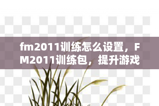 fm2011训练怎么设置，FM2011训练包，提升游戏技能与策略的智慧之源