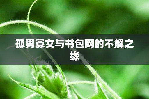 孤男寡女与书包网的不解之缘 孤男寡女与书包网的不解之缘