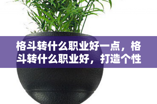 格斗转什么职业好一点,格斗转什么职业好,打造个性化职业路径的指南 格斗转什么职业好一点,格斗转什么职业好,打造个性化职业路径的指南
