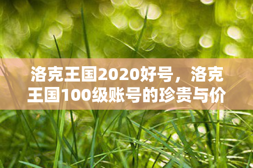 洛克王国2020好号,洛克王国100级账号的珍贵与价值 洛克王国2020好号,洛克王国100级账号的珍贵与价值