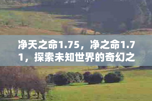 净天之命1.75，净之命1.71，探索未知世界的奇幻之旅