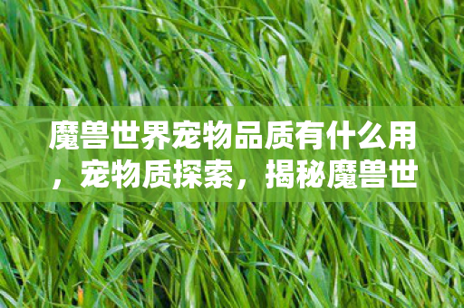 魔兽世界宠物品质有什么用，宠物质探索，揭秘魔兽世界宠物系统的魅力与奥秘