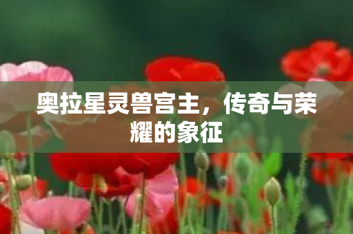 奥拉星灵兽宫主,传奇与荣耀的象征 奥拉星灵兽宫主,传奇与荣耀的象征