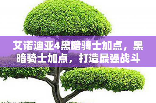 艾诺迪亚4黑暗骑士加点,黑暗骑士加点,打造最强战斗力的策略指南 艾诺迪亚4黑暗骑士加点,黑暗骑士加点,打造最强战斗力的策略指南