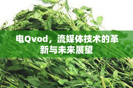 电Qvod,流媒体技术的革新与未来展望 电Qvod,流媒体技术的革新与未来展望