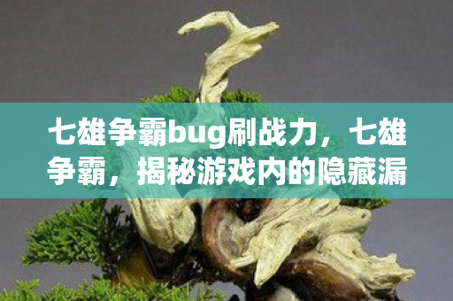 七雄争霸bug刷战力,七雄争霸,揭秘游戏内的隐藏漏洞与玩家应对策略 七雄争霸bug刷战力,七雄争霸,揭秘游戏内的隐藏漏洞与玩家应对策略