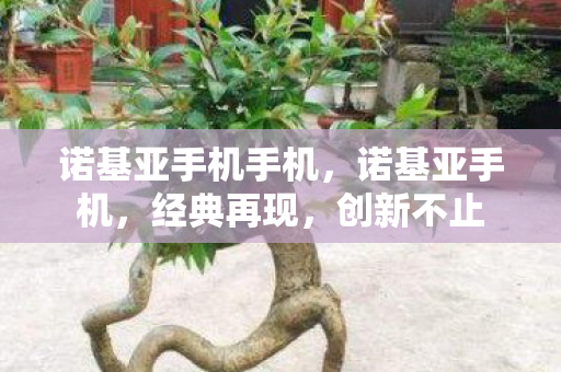 诺基亚手机手机,诺基亚手机,经典再现,创新不止 诺基亚手机手机,诺基亚手机,经典再现,创新不止