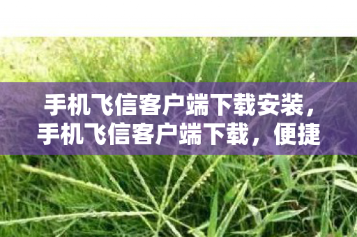 手机飞信客户端下载安装，手机飞信客户端下载，便捷沟通，安全高效