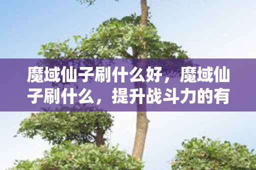 魔域仙子刷什么好,魔域仙子刷什么,提升战斗力的有效策略 魔域仙子刷什么好,魔域仙子刷什么,提升战斗力的有效策略