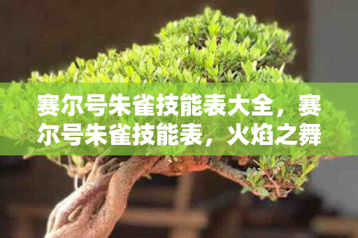 赛尔号朱雀技能表大全,赛尔号朱雀技能表,火焰之舞,掌控战场的炽热力量 赛尔号朱雀技能表大全,赛尔号朱雀技能表,火焰之舞,掌控战场的炽热力量