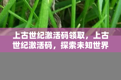 上古世纪激活码领取，上古世纪激活码，探索未知世界的钥匙