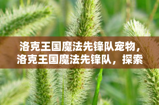 洛克王国魔法先锋队宠物,洛克王国魔法先锋队,探索奇幻世界的奇妙冒险 洛克王国魔法先锋队宠物,洛克王国魔法先锋队,探索奇幻世界的奇妙冒险