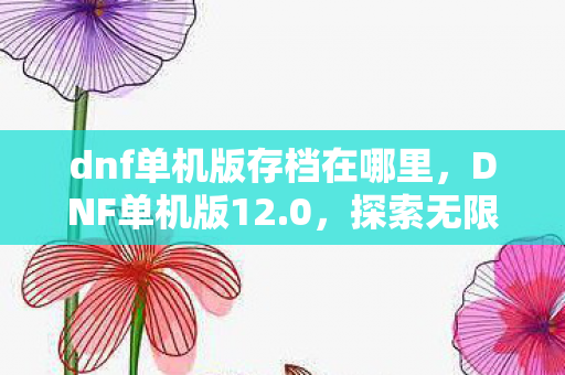 dnf单机版存档在哪里,DNF单机版12.0,探索无限可能的单机冒险 dnf单机版存档在哪里,DNF单机版12.0,探索无限可能的单机冒险