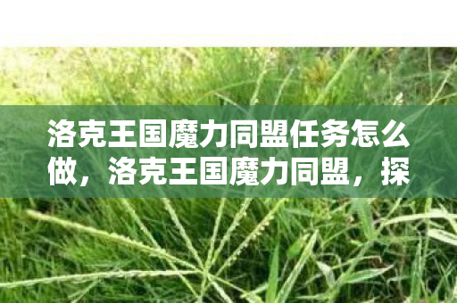 洛克王国魔力同盟任务怎么做,洛克王国魔力同盟,探索奇幻世界的奇妙之旅 洛克王国魔力同盟任务怎么做,洛克王国魔力同盟,探索奇幻世界的奇妙之旅