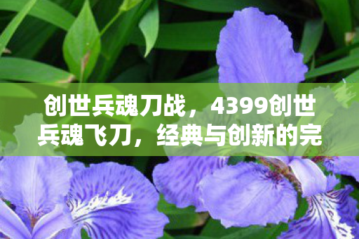 创世兵魂刀战,4399创世兵魂飞刀,经典与创新的完美融合 创世兵魂刀战,4399创世兵魂飞刀,经典与创新的完美融合