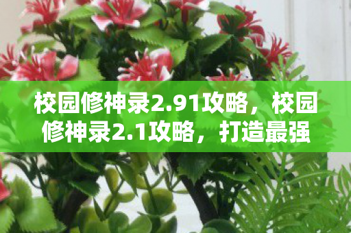 校园修神录2.91攻略,校园修神录2.1攻略,打造最强角色,解锁隐藏成就 校园修神录2.91攻略,校园修神录2.1攻略,打造最强角色,解锁隐藏成就