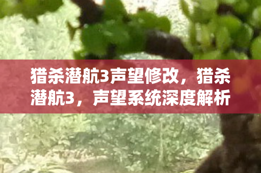 猎杀潜航3声望修改,猎杀潜航3,声望系统深度解析 猎杀潜航3声望修改,猎杀潜航3,声望系统深度解析