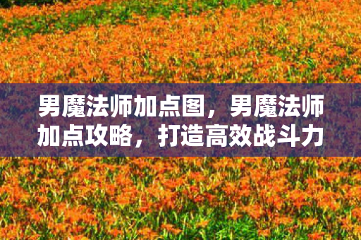 男魔法师加点图,男魔法师加点攻略,打造高效战斗力的关键 男魔法师加点图,男魔法师加点攻略,打造高效战斗力的关键