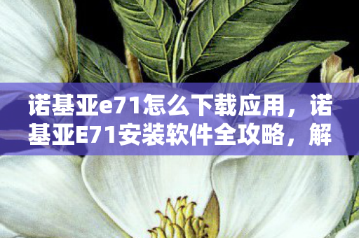 诺基亚e71怎么下载应用,诺基亚E71安装软件全攻略,解锁智能新体验 诺基亚e71怎么下载应用,诺基亚E71安装软件全攻略,解锁智能新体验