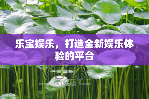乐宝娱乐,打造全新娱乐体验的平台 乐宝娱乐,打造全新娱乐体验的平台