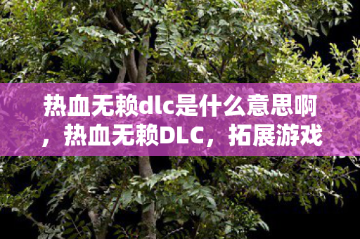 热血无赖dlc是什么意思啊,热血无赖DLC,拓展游戏世界的深度与广度 热血无赖dlc是什么意思啊,热血无赖DLC,拓展游戏世界的深度与广度
