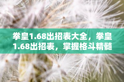 拳皇1.68出招表大全,拳皇1.68出招表,掌握格斗精髓,畅享对战乐趣 拳皇1.68出招表大全,拳皇1.68出招表,掌握格斗精髓,畅享对战乐趣