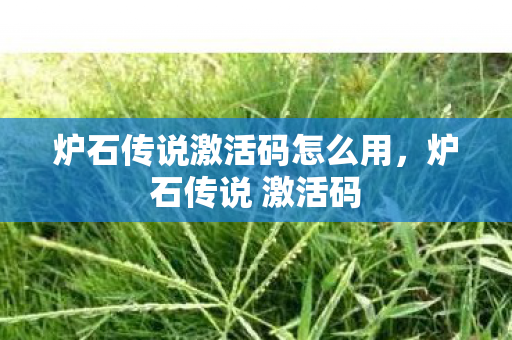 炉石传说激活码怎么用,炉石传说 激活码 炉石传说激活码怎么用,炉石传说 激活码