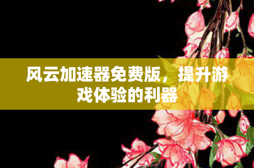 风云加速器免费版，提升游戏体验的利器