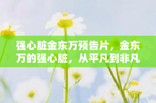 强心脏金东万预告片，金东万的强心脏，从平凡到非凡的蜕变之路