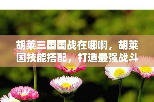 胡莱三国国战在哪啊，胡莱国技能搭配，打造最强战斗力的策略指南