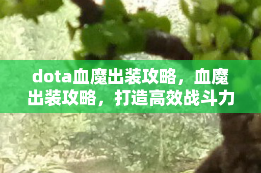 dota血魔出装攻略,血魔出装攻略,打造高效战斗力的关键 dota血魔出装攻略,血魔出装攻略,打造高效战斗力的关键