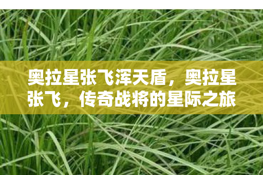 奥拉星张飞浑天盾,奥拉星张飞,传奇战将的星际之旅 奥拉星张飞浑天盾,奥拉星张飞,传奇战将的星际之旅