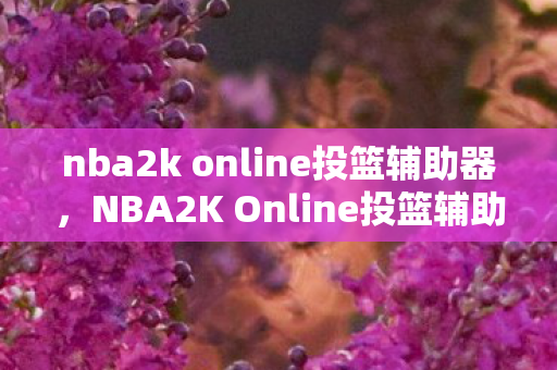 nba2k online投篮辅助器,NBA2K Online投篮辅助,提升你的球技,合法合规的玩法 nba2k online投篮辅助器,NBA2K Online投篮辅助,提升你的球技,合法合规的玩法