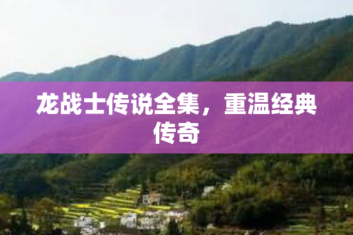 龙战士传说全集,重温经典传奇 龙战士传说全集,重温经典传奇