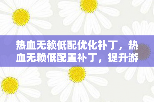 热血无赖低配优化补丁，热血无赖低配置补丁，提升游戏体验的利器