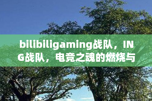 bilibiligaming战队,ING战队,电竞之魂的燃烧与传承 bilibiligaming战队,ING战队,电竞之魂的燃烧与传承