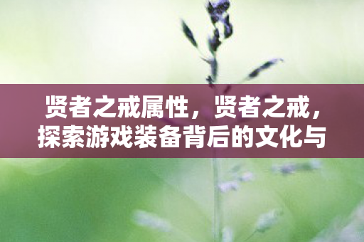 贤者之戒属性，贤者之戒，探索游戏装备背后的文化与价值