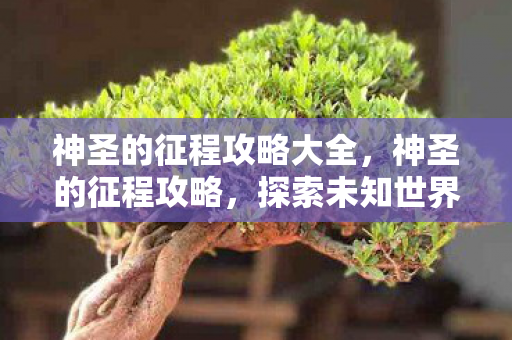 神圣的征程攻略大全,神圣的征程攻略,探索未知世界的策略与技巧 神圣的征程攻略大全,神圣的征程攻略,探索未知世界的策略与技巧