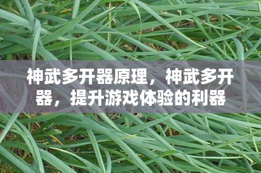 神武多开器原理，神武多开器，提升游戏体验的利器
