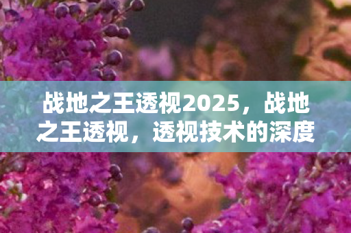 战地之王透视2025,战地之王透视,透视技术的深度解析与游戏公平性探讨 战地之王透视2025,战地之王透视,透视技术的深度解析与游戏公平性探讨