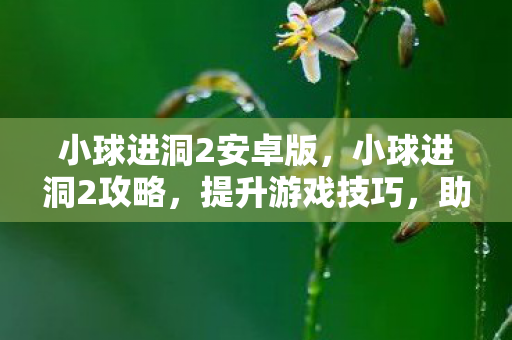 小球进洞2安卓版,小球进洞2攻略,提升游戏技巧,助你轻松通关 小球进洞2安卓版,小球进洞2攻略,提升游戏技巧,助你轻松通关