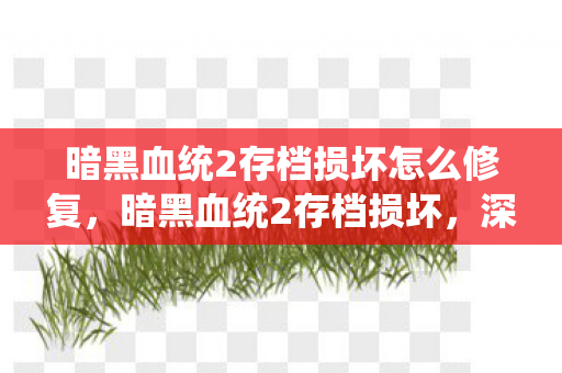 暗黑血统2存档损坏怎么修复，暗黑血统2存档损坏，深度解析与修复指南