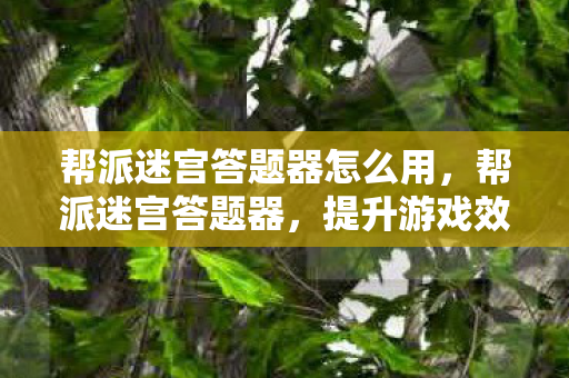 帮派迷宫答题器怎么用,帮派迷宫答题器,提升游戏效率的利器 帮派迷宫答题器怎么用,帮派迷宫答题器,提升游戏效率的利器