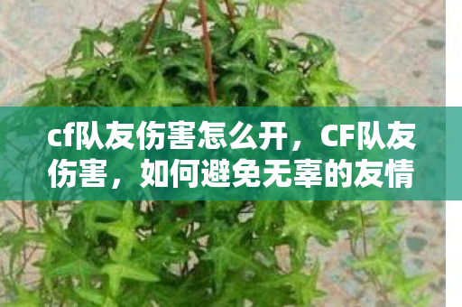 cf队友伤害怎么开，CF队友伤害，如何避免无辜的友情火力？