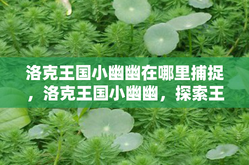 洛克王国小幽幽在哪里捕捉,洛克王国小幽幽,探索王国中的神秘存在 洛克王国小幽幽在哪里捕捉,洛克王国小幽幽,探索王国中的神秘存在