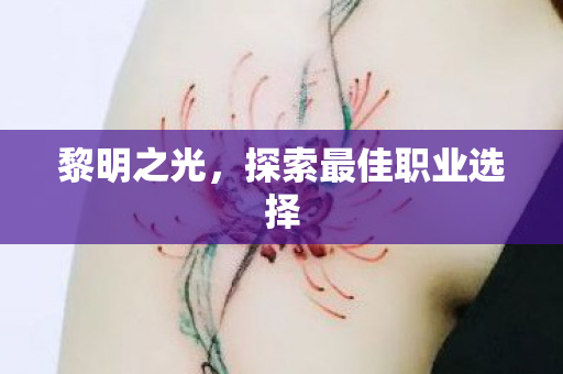 黎明之光,探索最佳职业选择 黎明之光,探索最佳职业选择